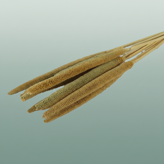 Dried Babala Naturels