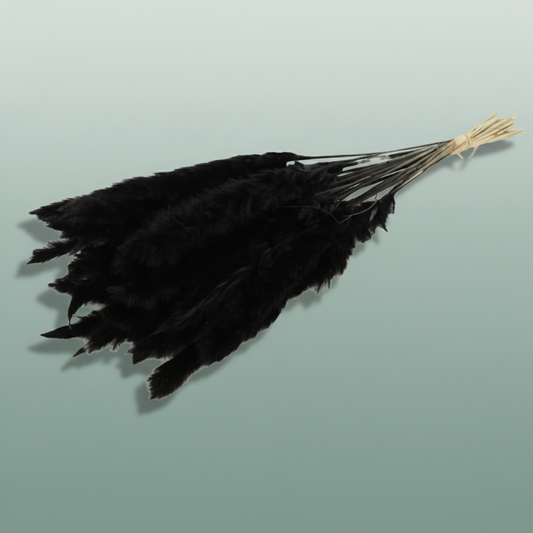 Dried Fluffy Pampas Black