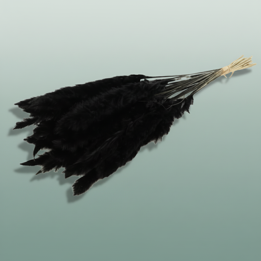 Dried Fluffy Pampas Black