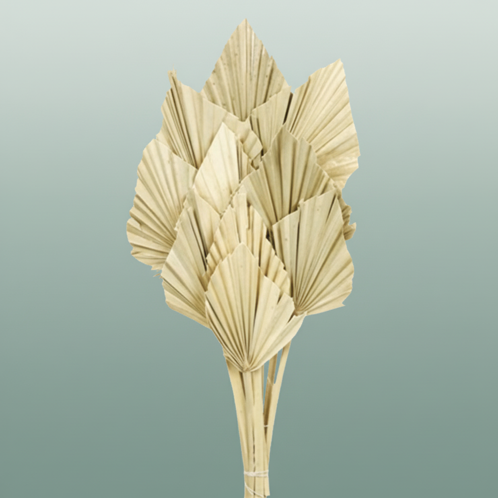 Dried Palm Spear Naturel
