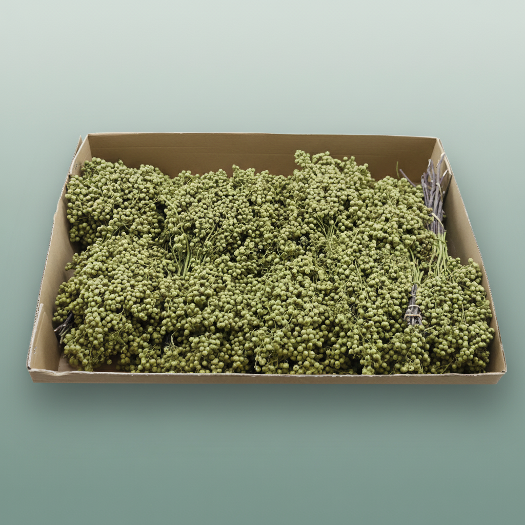 Schinus M Pt Olijf Groen