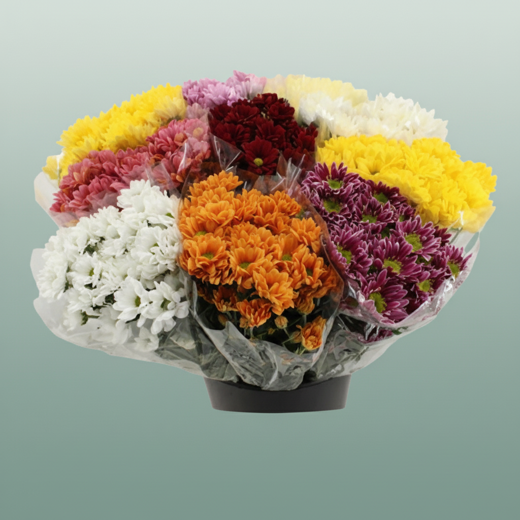 Bouquet Mono Chrysanthemum