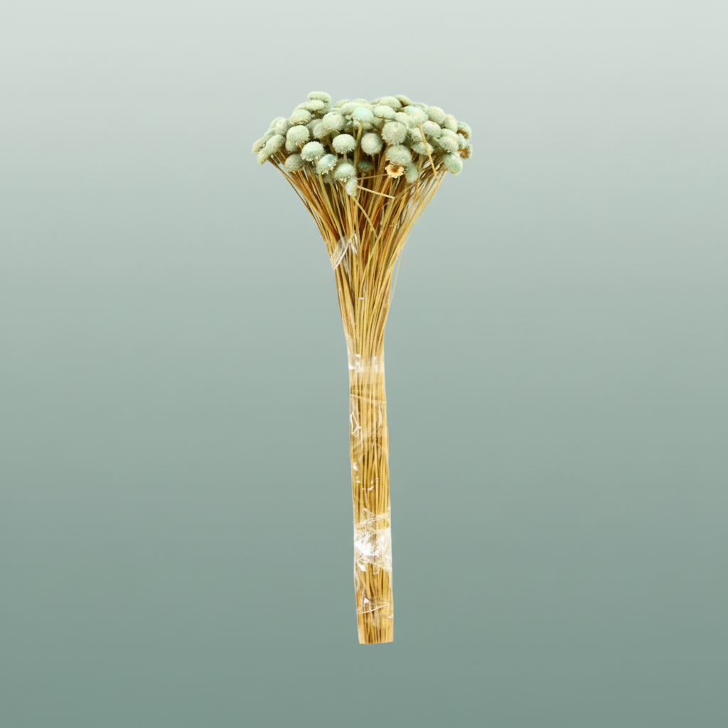 Dried Batao Light Blue