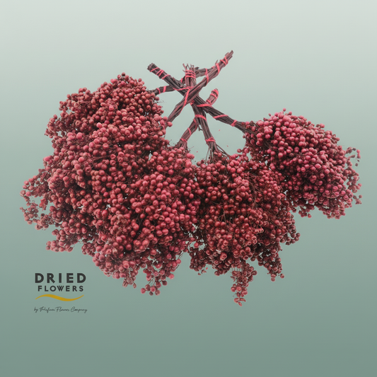 Dried Pepper Berries Burgundy