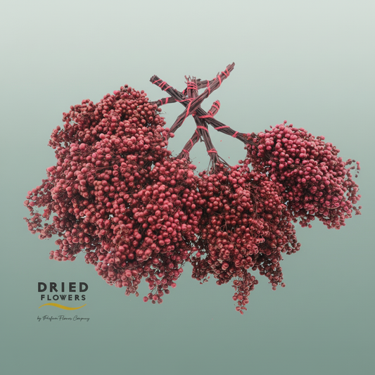 Dried Pepper Berries Red Carnation