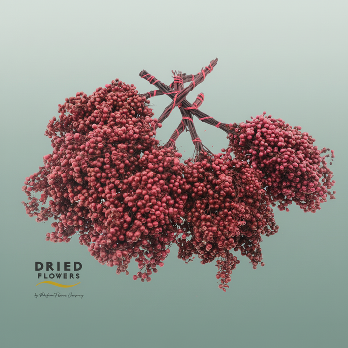 Dried Pepper Berries Red Carnation
