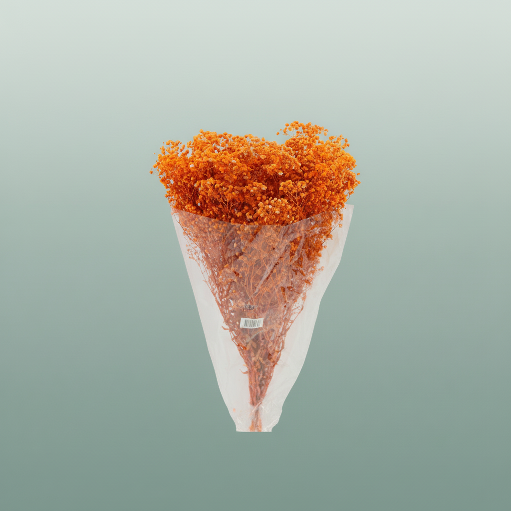 Pres Gypsophila Bouquet Orange