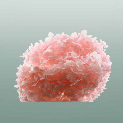 Pres Hydrangea Lightpink