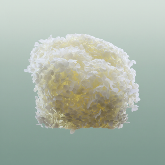 Pres Hydrangea Bleached