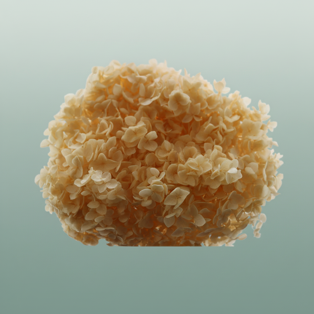 Pres Hydrangea Soft Salmon