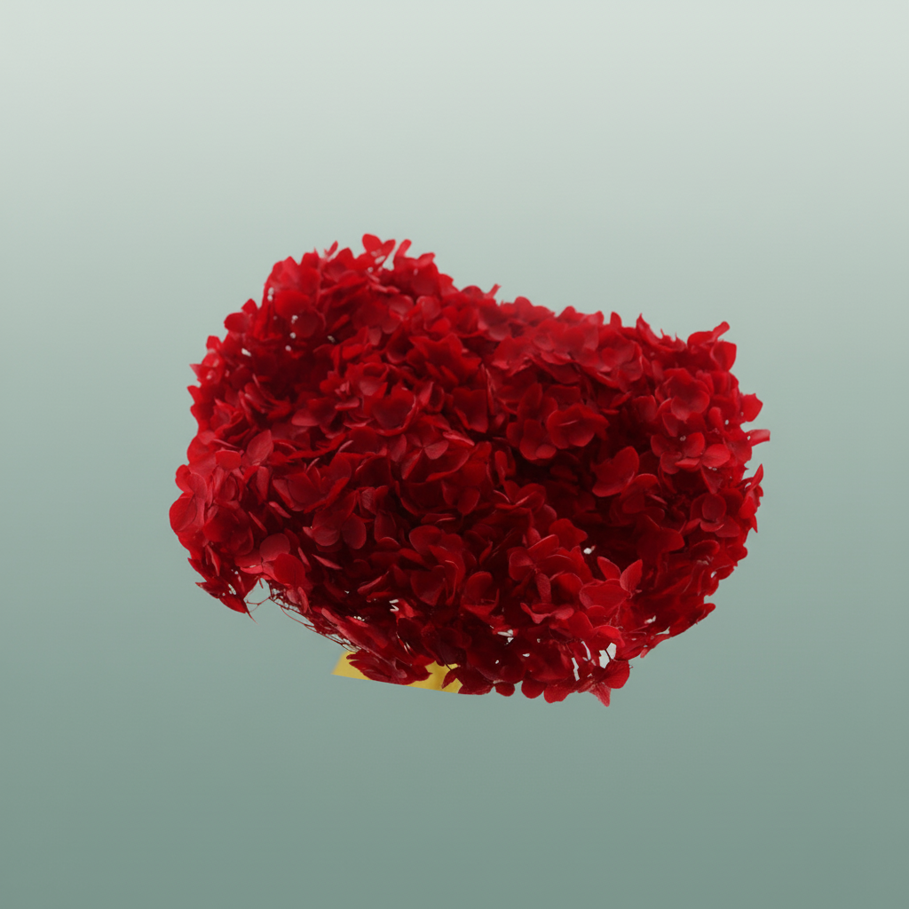 Pres Hydrangea Red