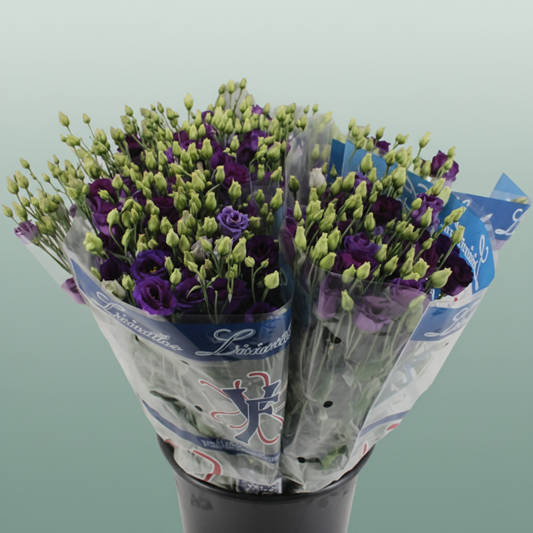 Bouquet Mono Eustoma