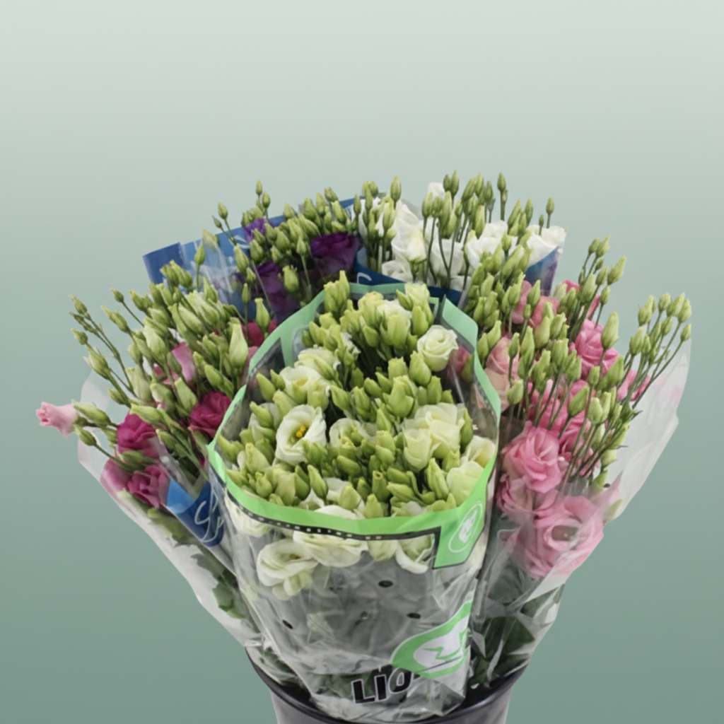 Bouquet Mono Eustoma