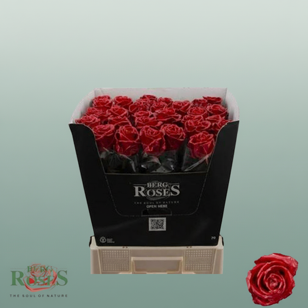 Rose Wax Ferrari Rood