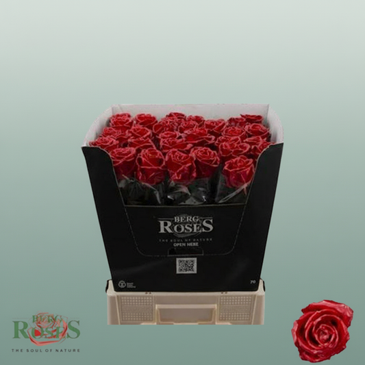 Rose Wax Ferrari Rood