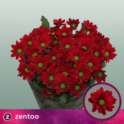 Chrysanthemum Spray Red