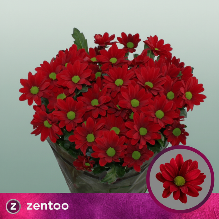 Chrysanthemum Spray Red