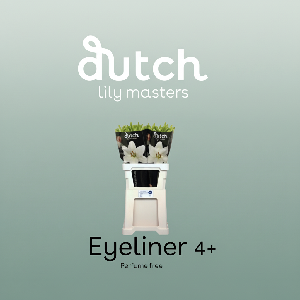 Lily La Eyeliner