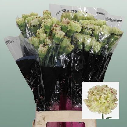 Carnation Standard Wine Cover