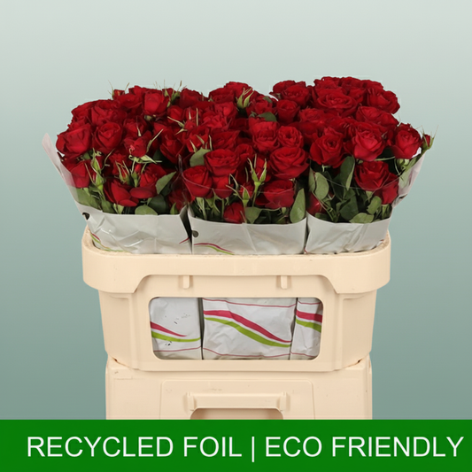 Spray Rose Red Trendsetter