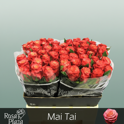 Rose Mai Tai