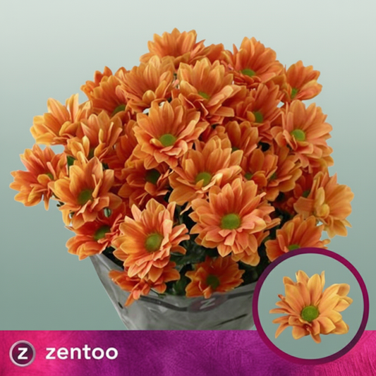 Chrysanthemum Spray Kaya/ Orange