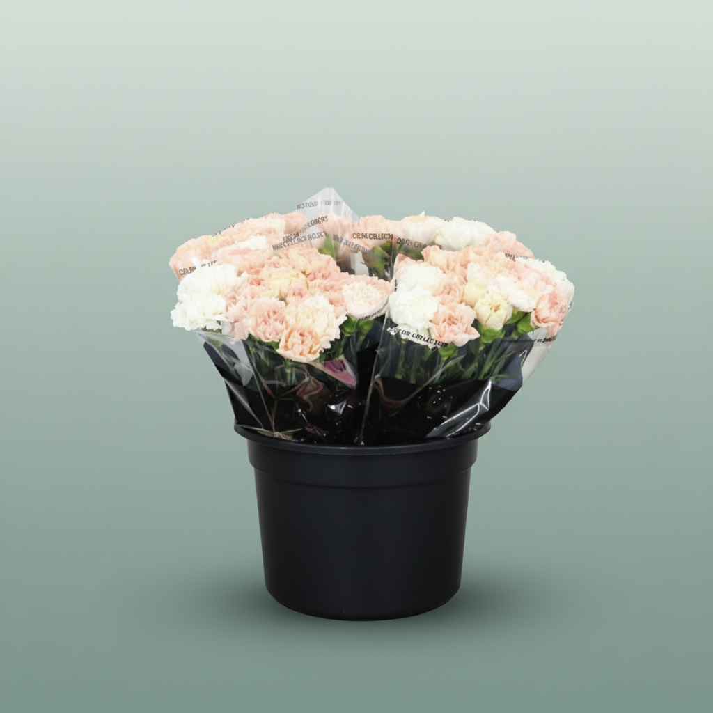 Carnation Standard Mix Wedding