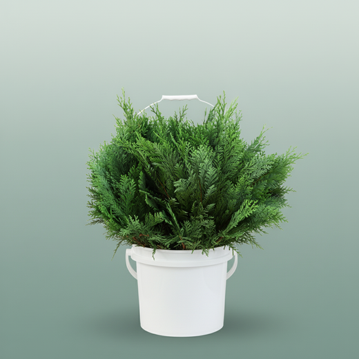 Conifeer Zak Blauw Pluis