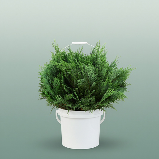 Conifeer Zak Blauw Pluis