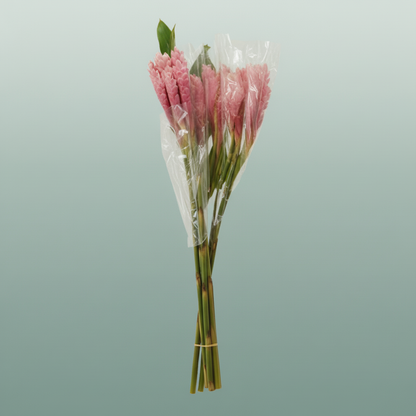 Alpinea Peach Stems – 90cm