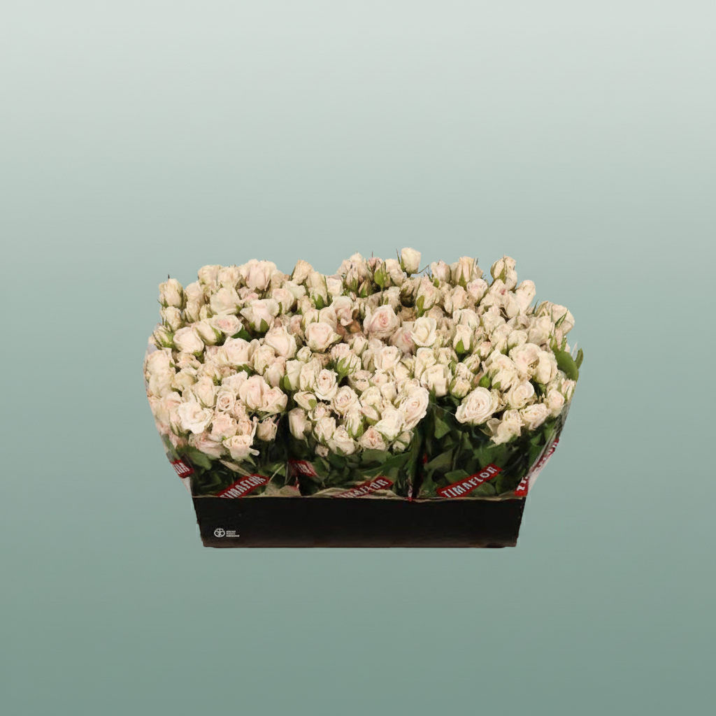 Spray Rose Royal Porcelina