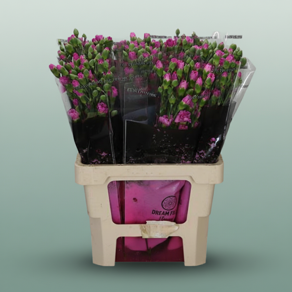 Carnation Spray Lilac Melissa