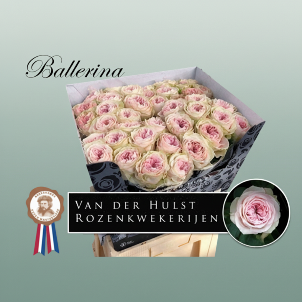 Rose Bal Summerhouse