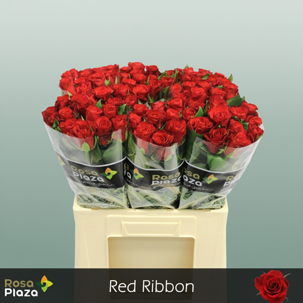 Red Ribbon Rose Ramo Rose Red Ribbon – All Occasions Wholesale