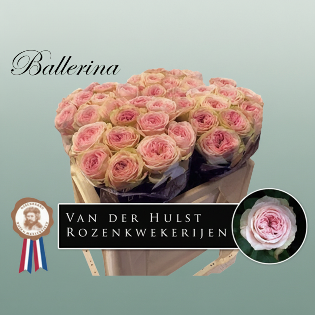 Rose Bal Summerhouse