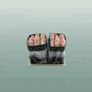 Rose Eq Esperance