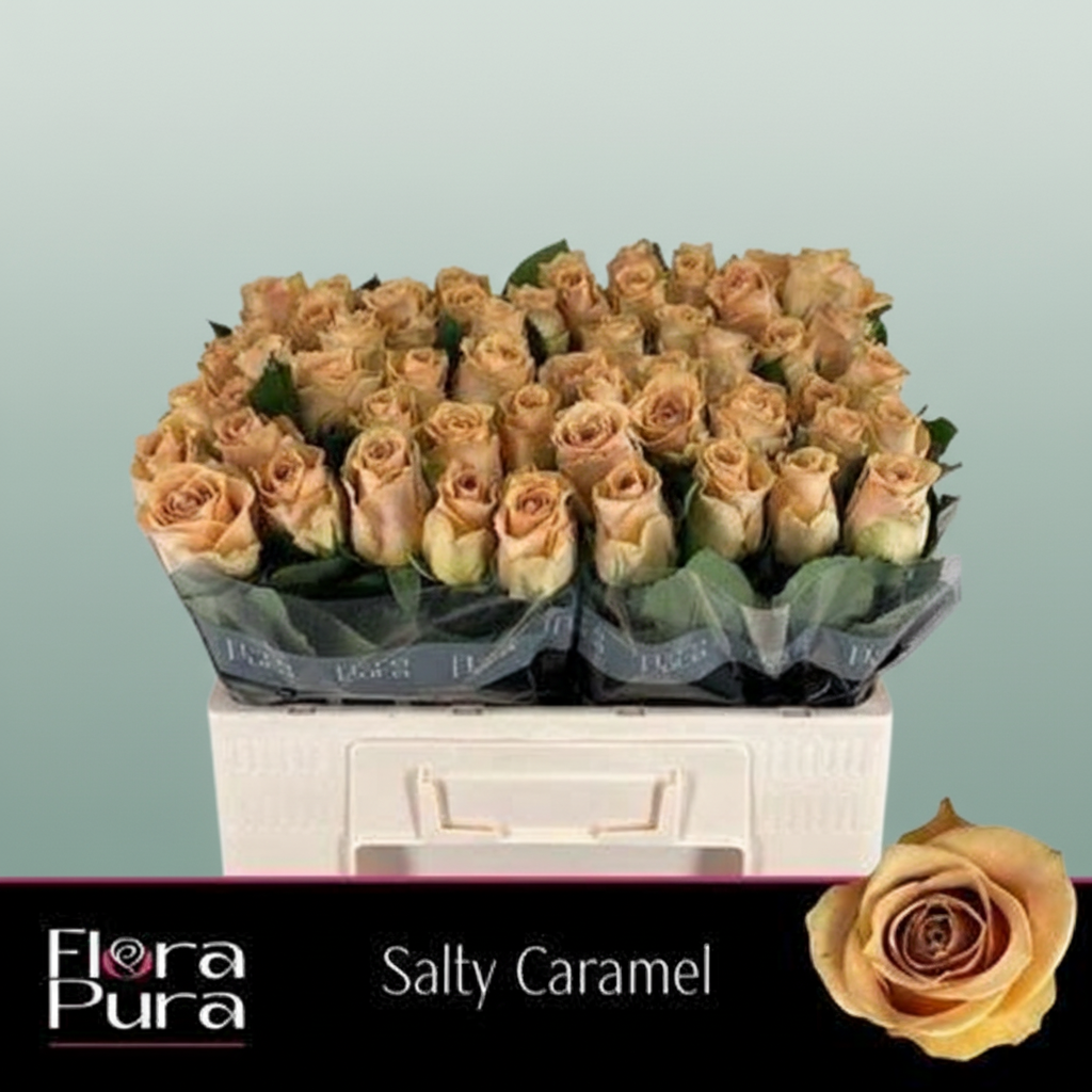 Rose Salty Caramel