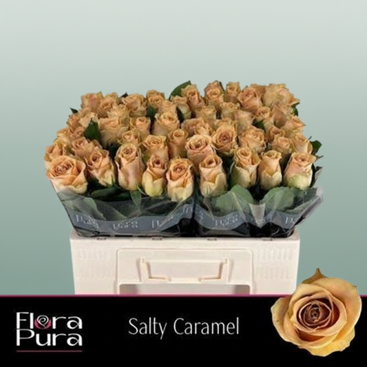 Rose Salty Caramel