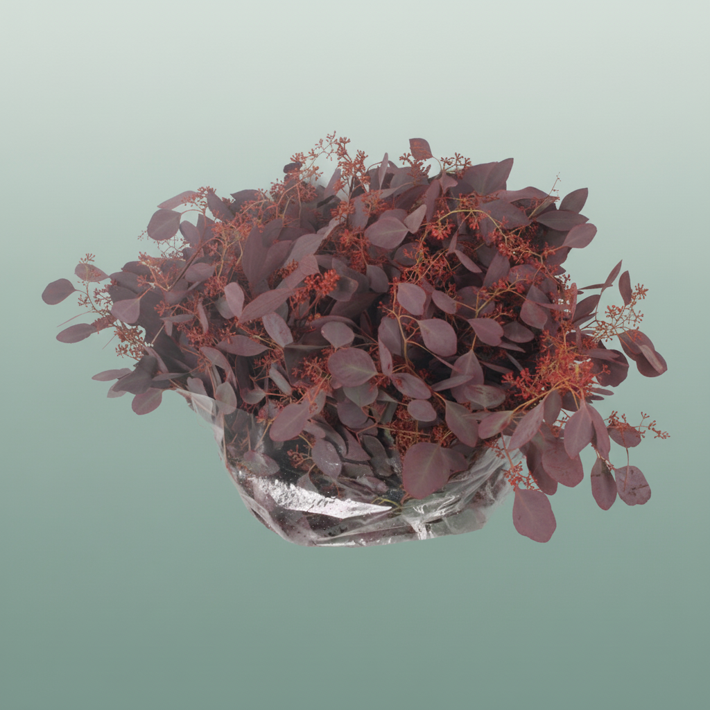 Eucalyptus Populus Dyed Red