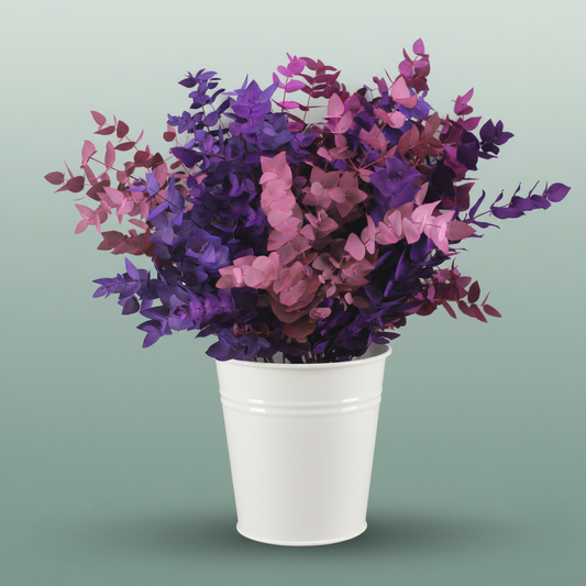 Eucalyptus Cinerea Dyed Pink mix