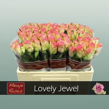 Rose Love Jewel