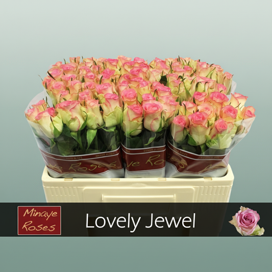 Rose Love Jewel
