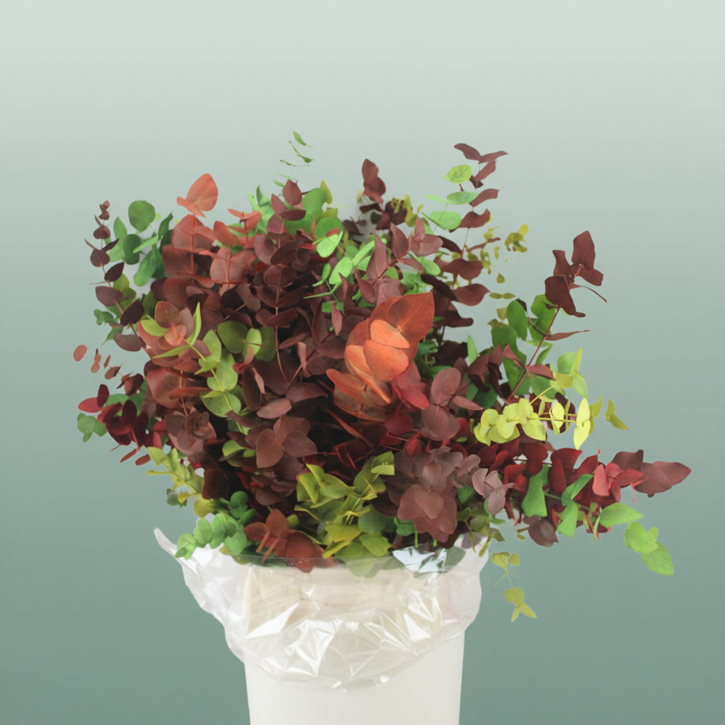 Eucalyptus Cinerea Dyed Harlequino