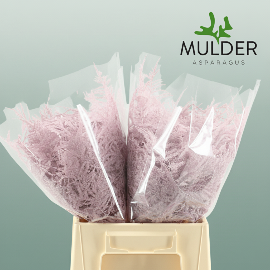 GR Asparagus Light Pink Dyed