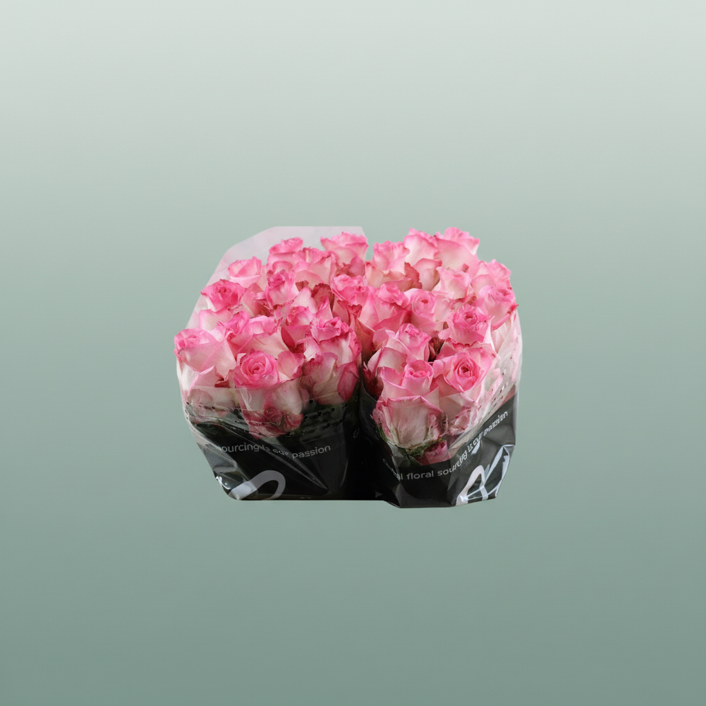 Rose Boulevard