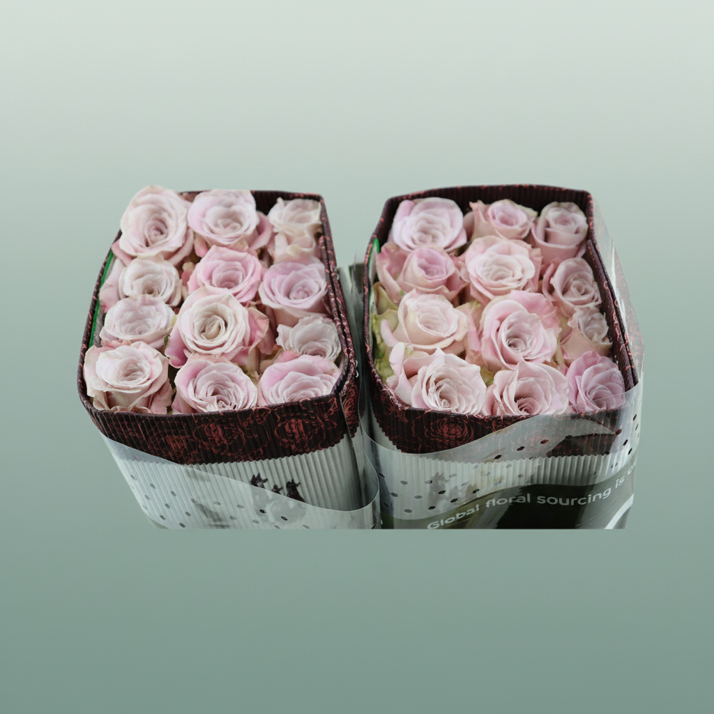 Rose Faith