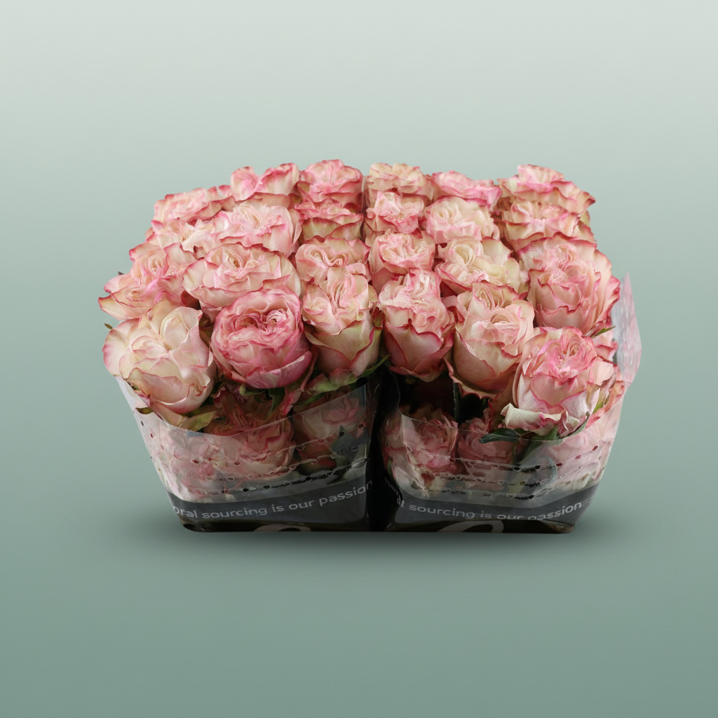 Rose Country Candy