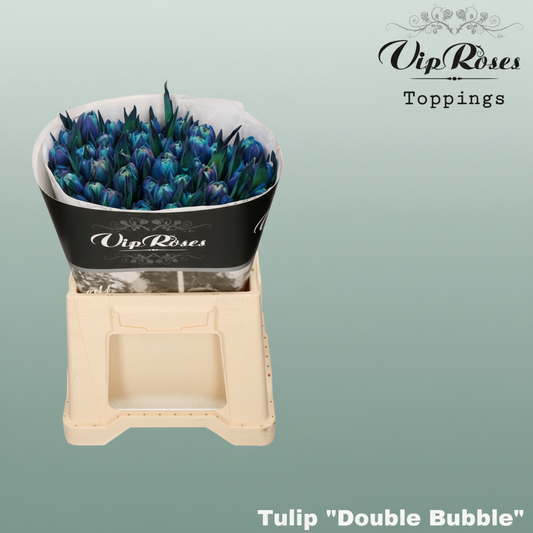 Tulip Dyed Double Bubble