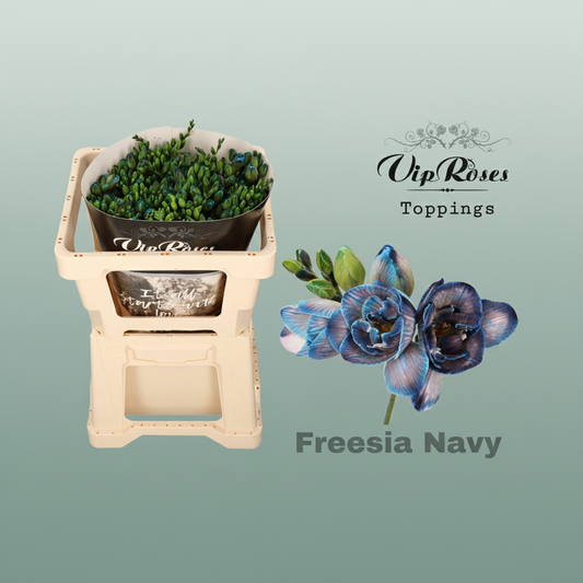 Freesia Dyed Navy