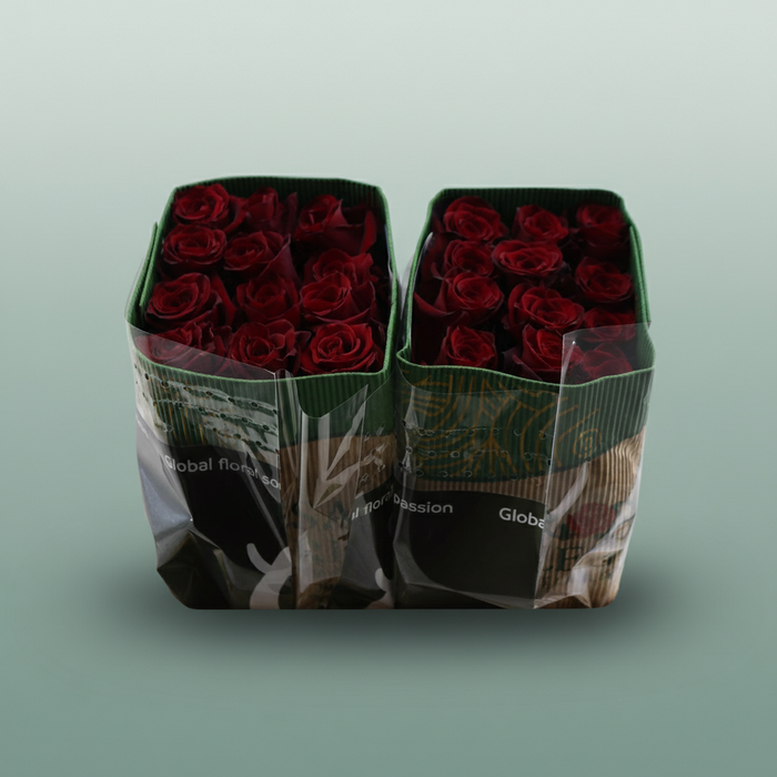 Rose Explorer